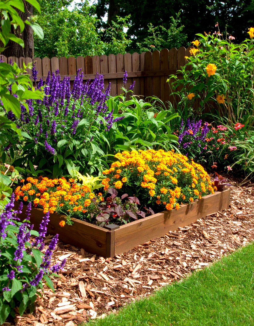 Butterfly Haven Flower Bed with Lantana and Salvia - 20 Front Yard Texas Flower Bed Ideas
