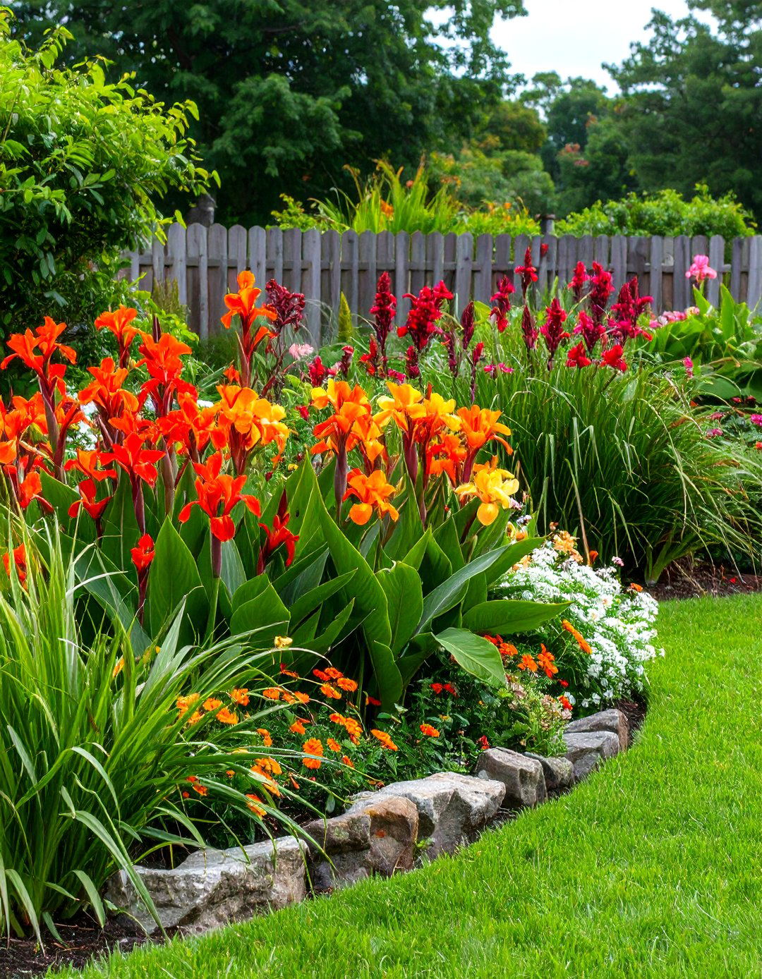 Colorful Canna Tropical Garden Festival Display - 20 Tropical Garden Ideas
