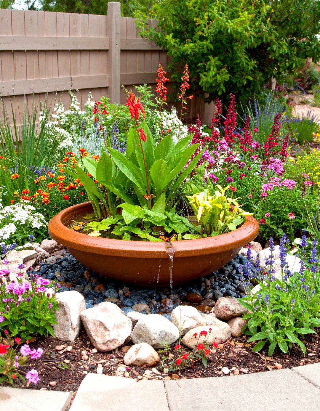 Desert Landscape Pollinator Patch for Arid Climates - 20 Desert Landscape Ideas