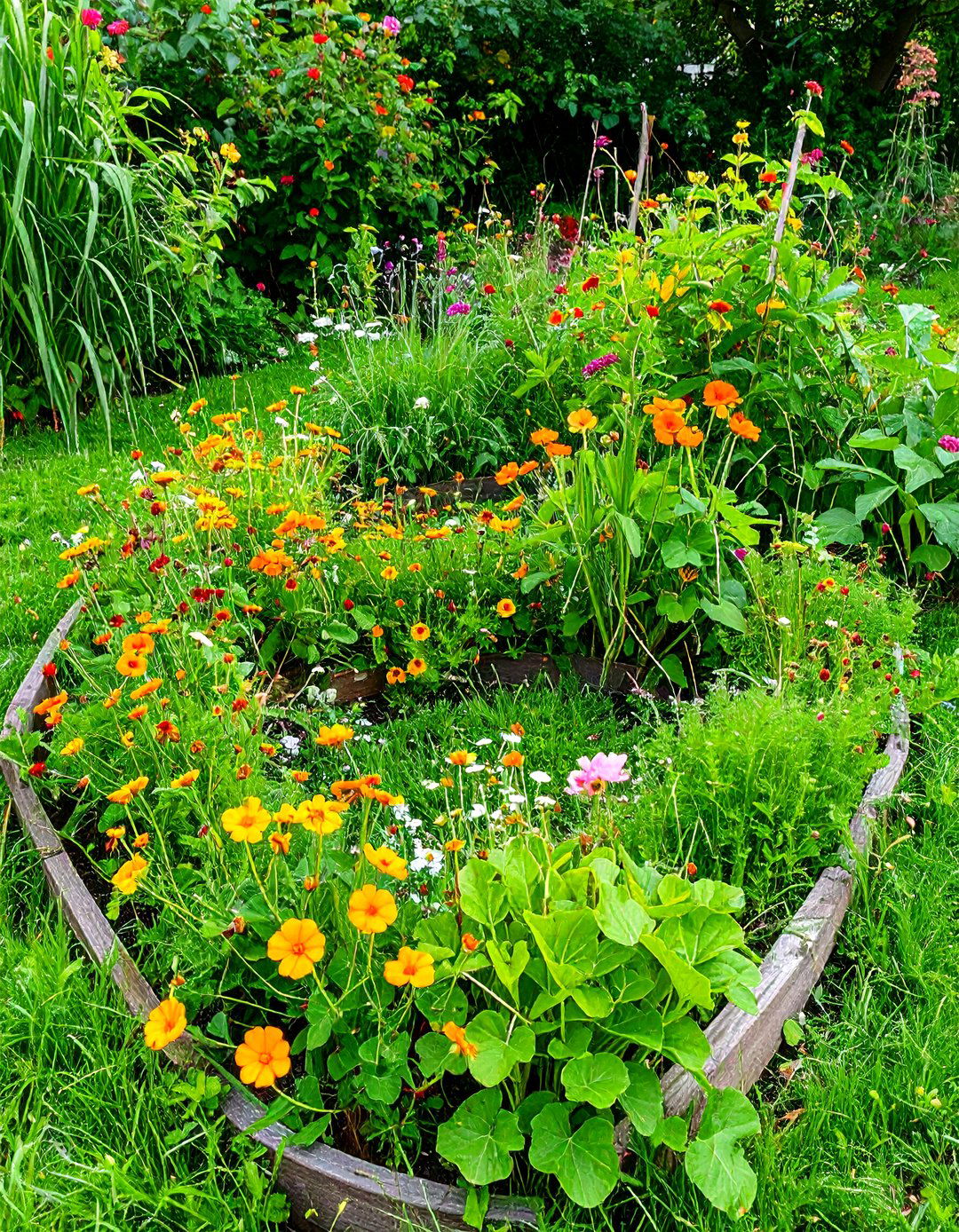 Edible Flower Spiral - 20 Spiral Garden Design Ideas