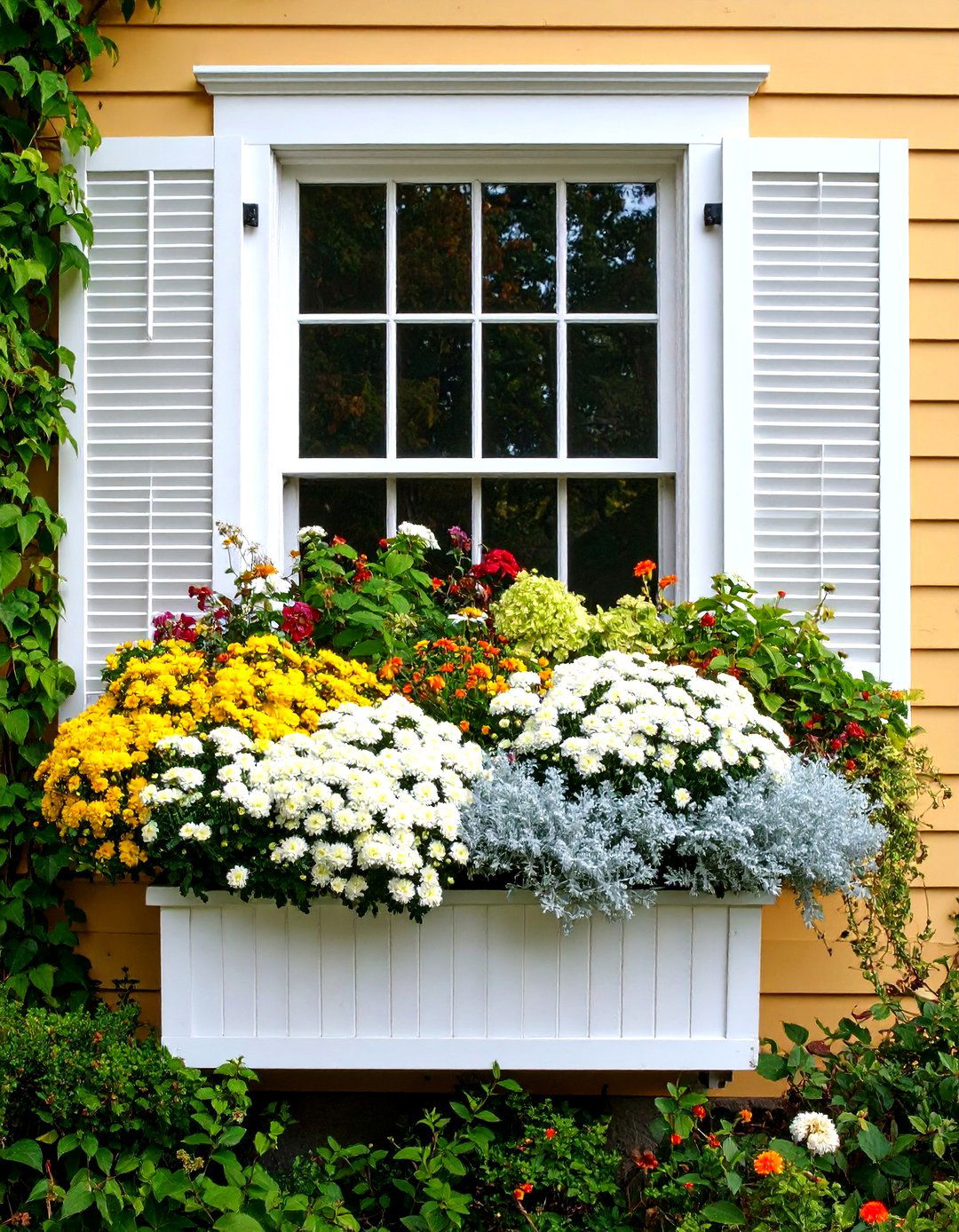 Elegant White and Silver Fall Flower Box Design - 20 Fall Flower Box Ideas