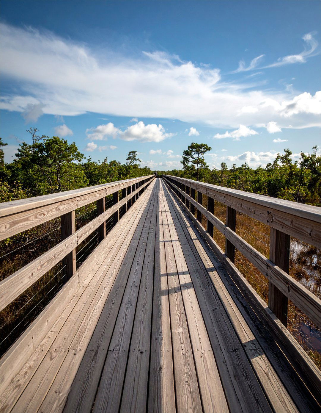 Elevated Composite Boardwalk Walkway Design - 20 Composite Walkway Ideas