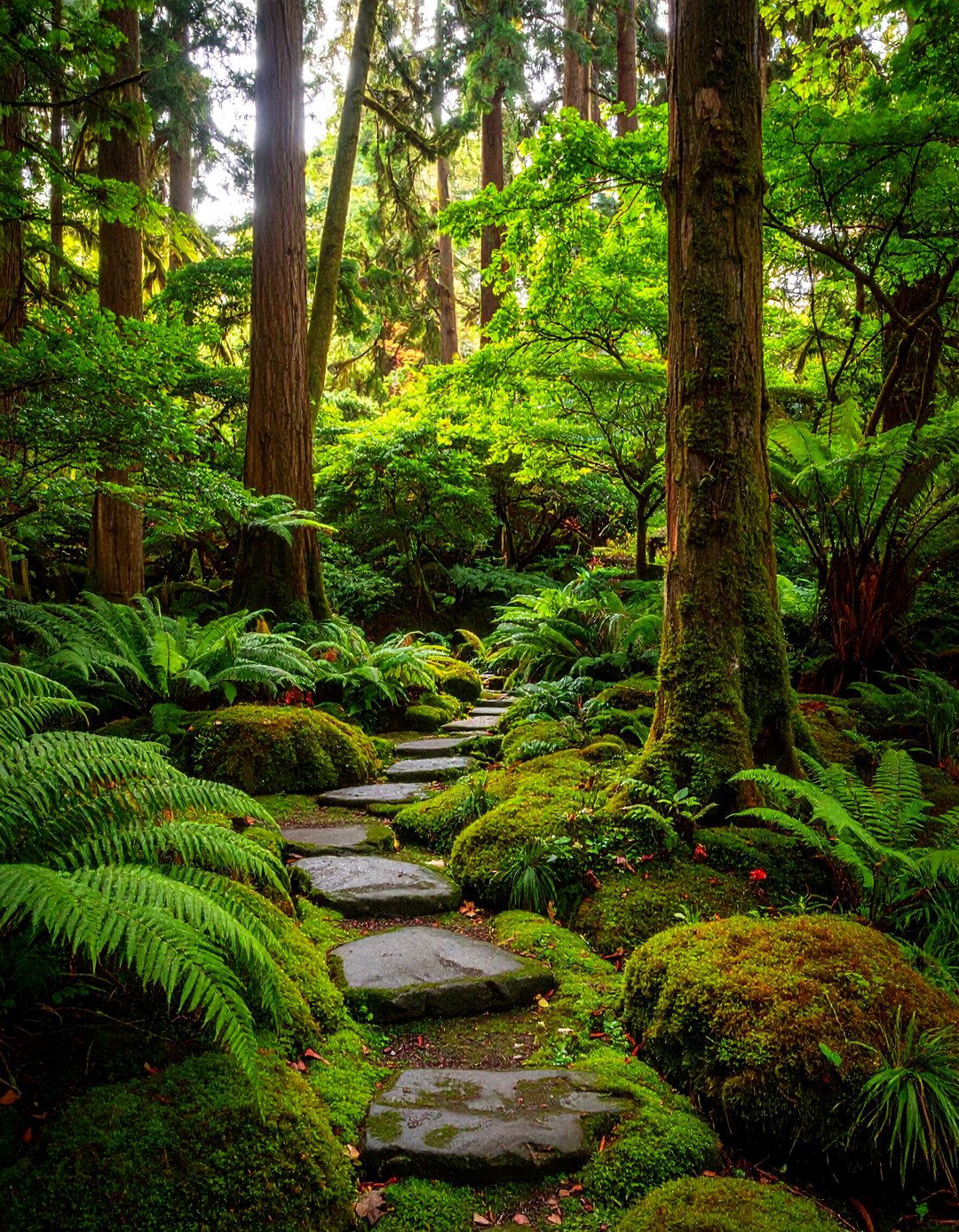 Fern and Moss Zen Garden - 20 Zen Garden Ideas