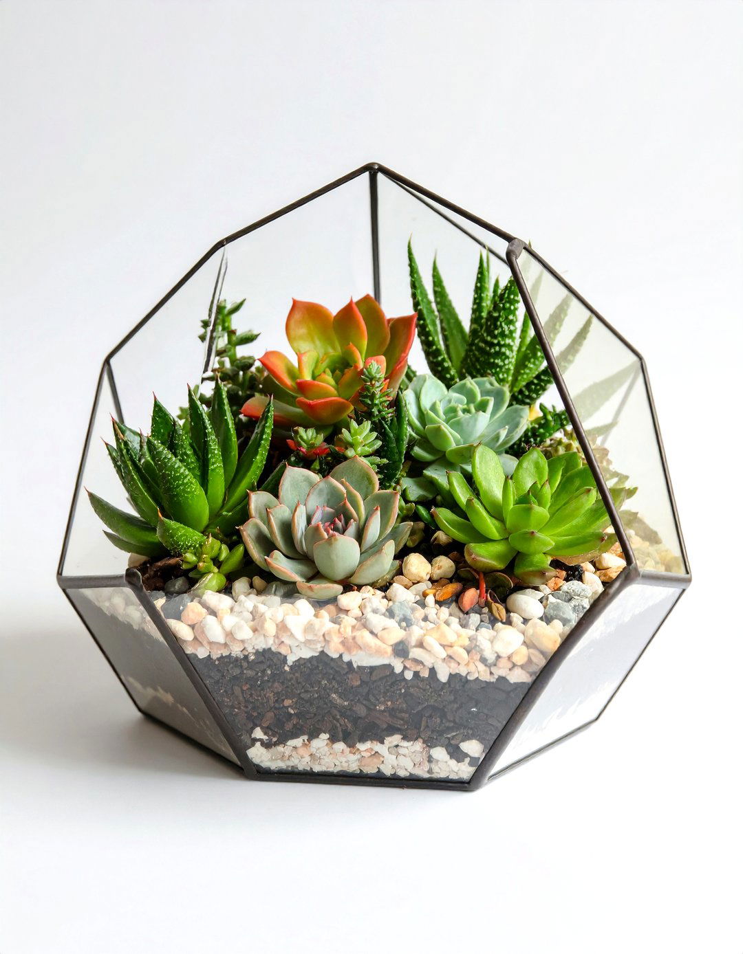 Hanging Air Plant Terrarium - 20 Terrarium Ideas