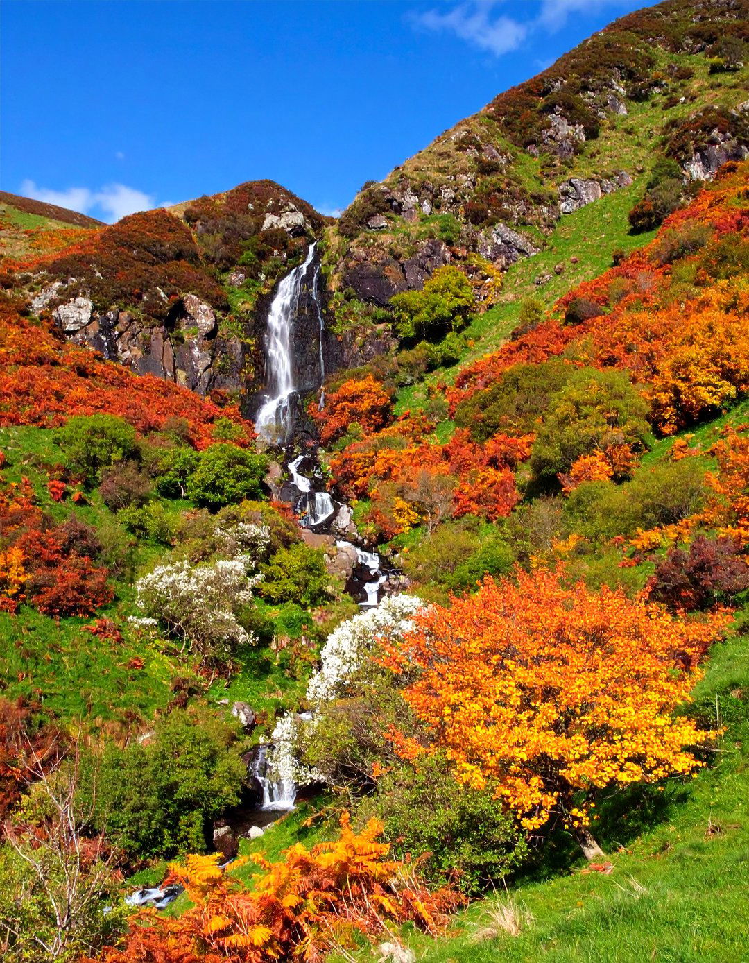 Hillside Natural Pondless Waterfall - 20 Pondless Waterfall Ideas