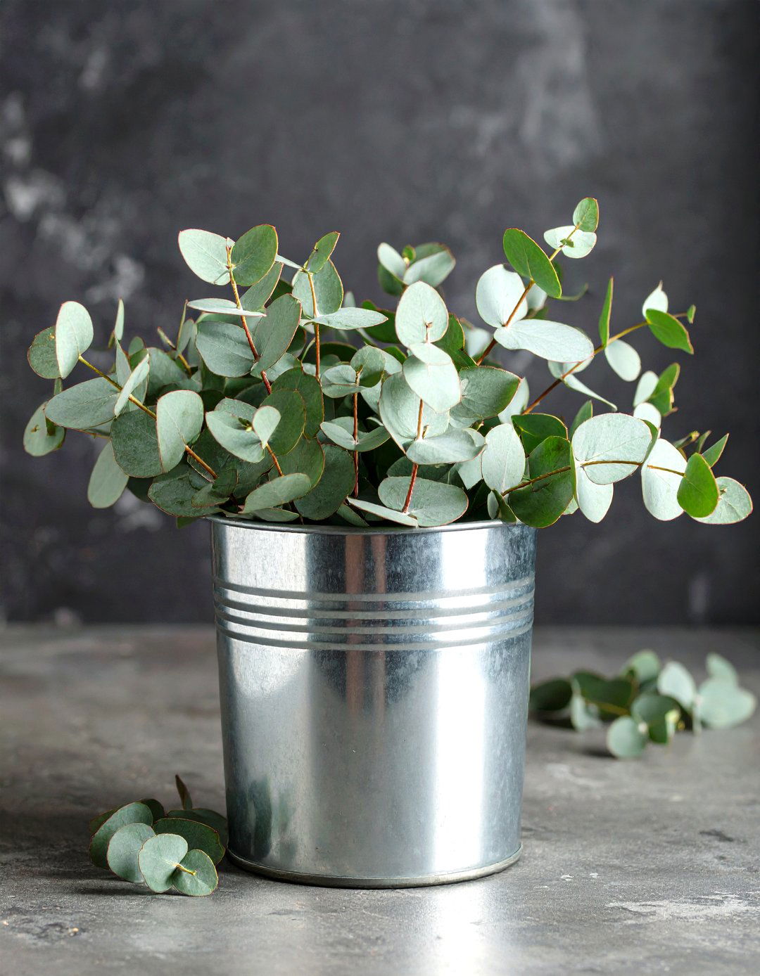 Industrial Chic Eucalyptus in Metal Containers - 20 Eucalyptus Wedding Centerpieces