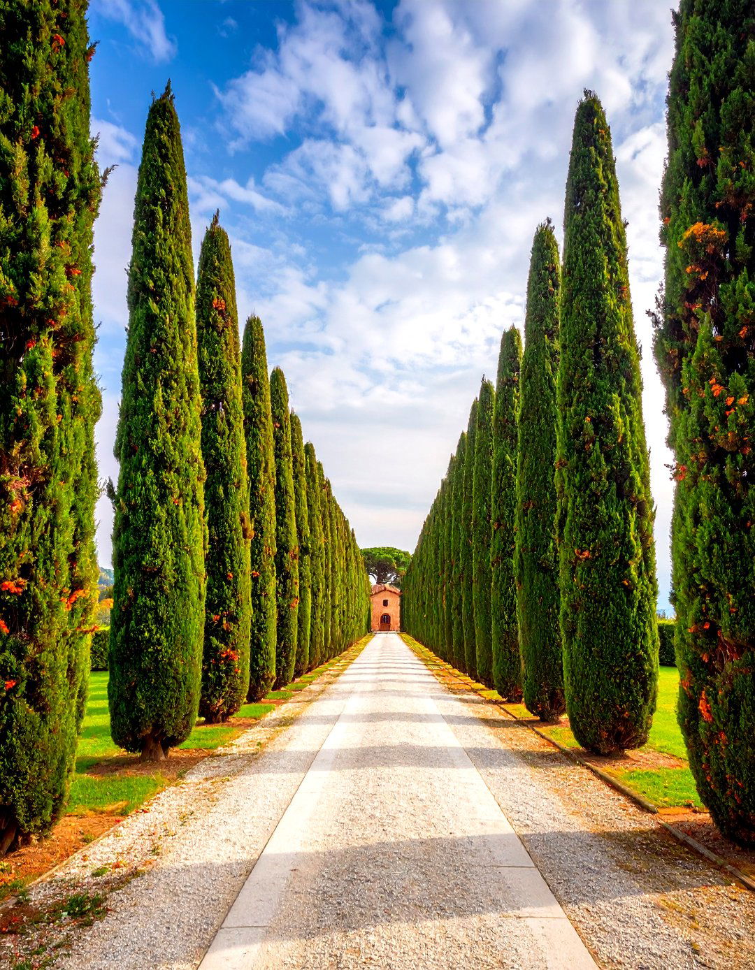 Italian Cypress Tree Allees for Dramatic Vertical Impact - 20 Italian Garden Design Ideas