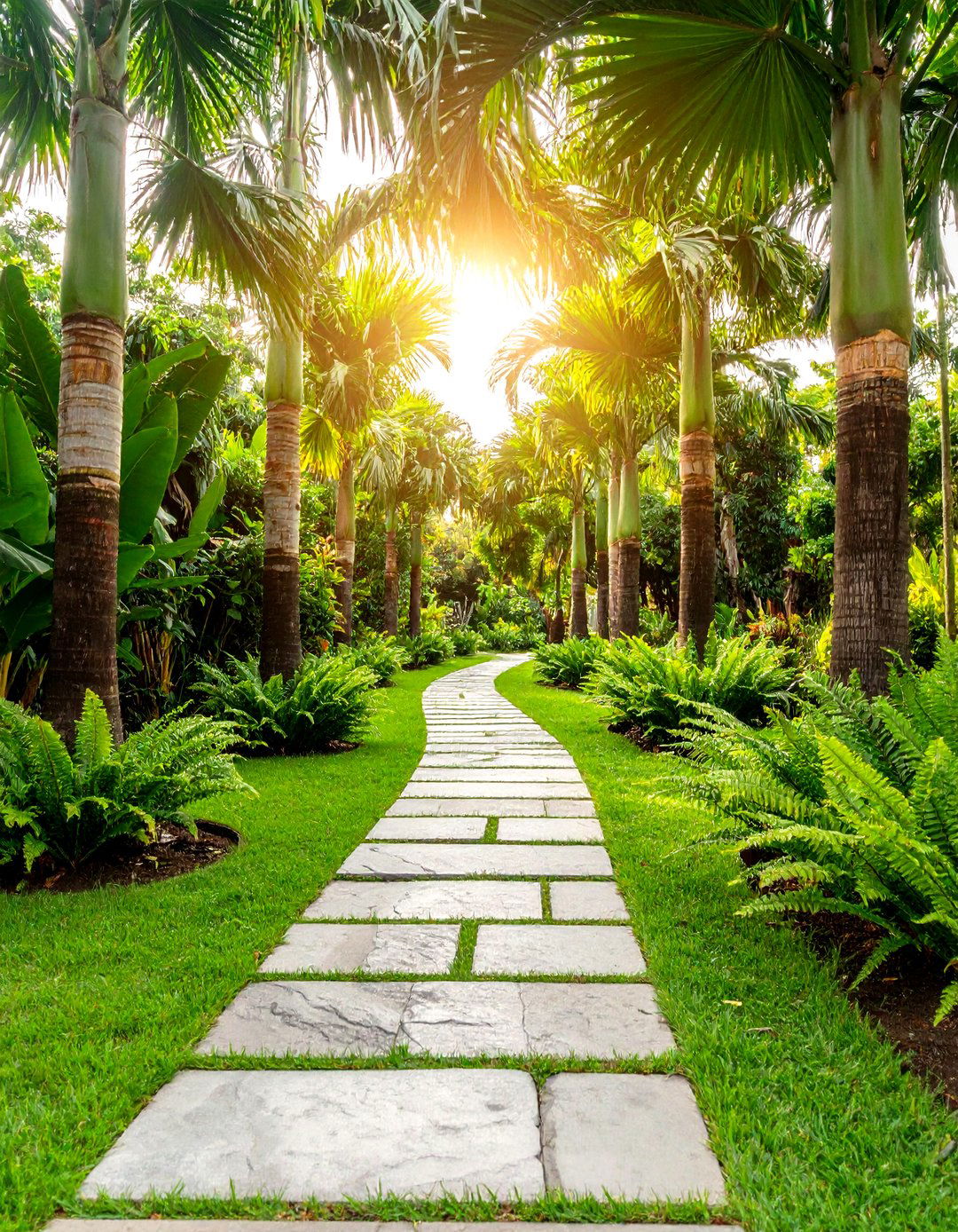 Lush Palm Lined Pathway - 20 Tropical Landscape Ideas