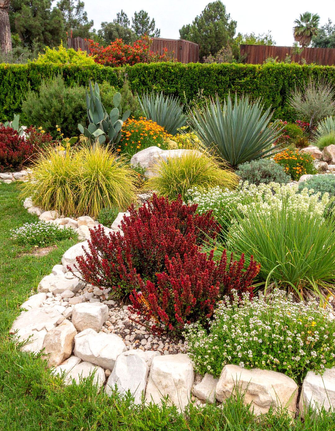 Mediterranean Meets Desert Cactus Garden - 20 Cactus Garden Ideas