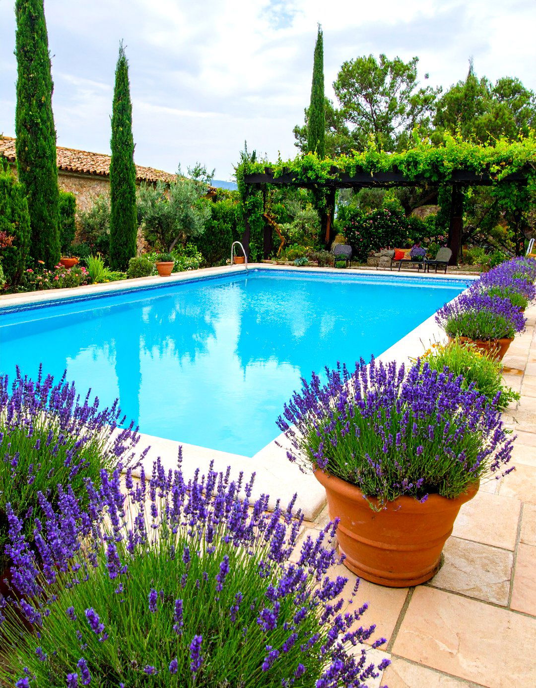 Mediterranean Oasis Pool Landscaping - 20 Pool Landscaping Ideas