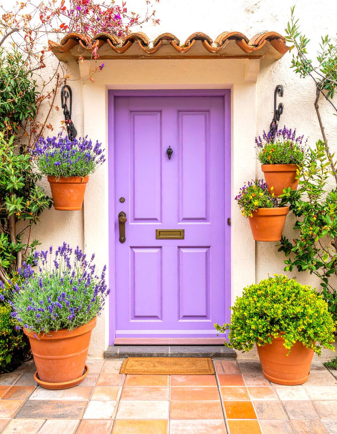 Mediterranean Style Lavender Front Door with Terra Cotta Accents - 20 Lavender Front Door Ideas