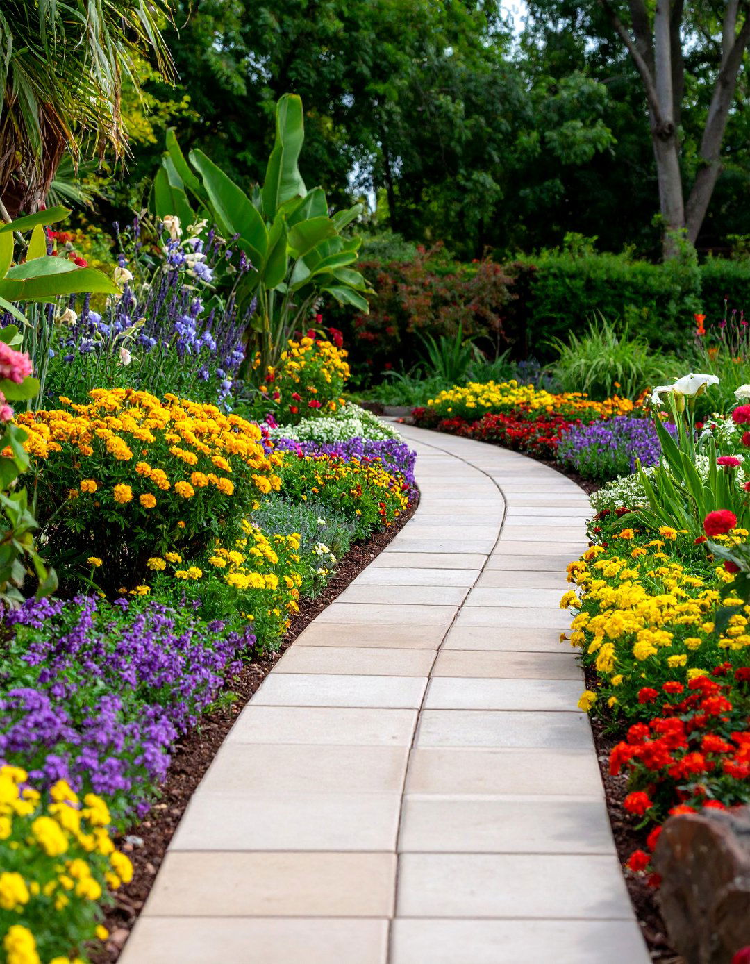 Mixed Material Border Concrete Paver Walkway - 20 Concrete Paver Walkway Ideas