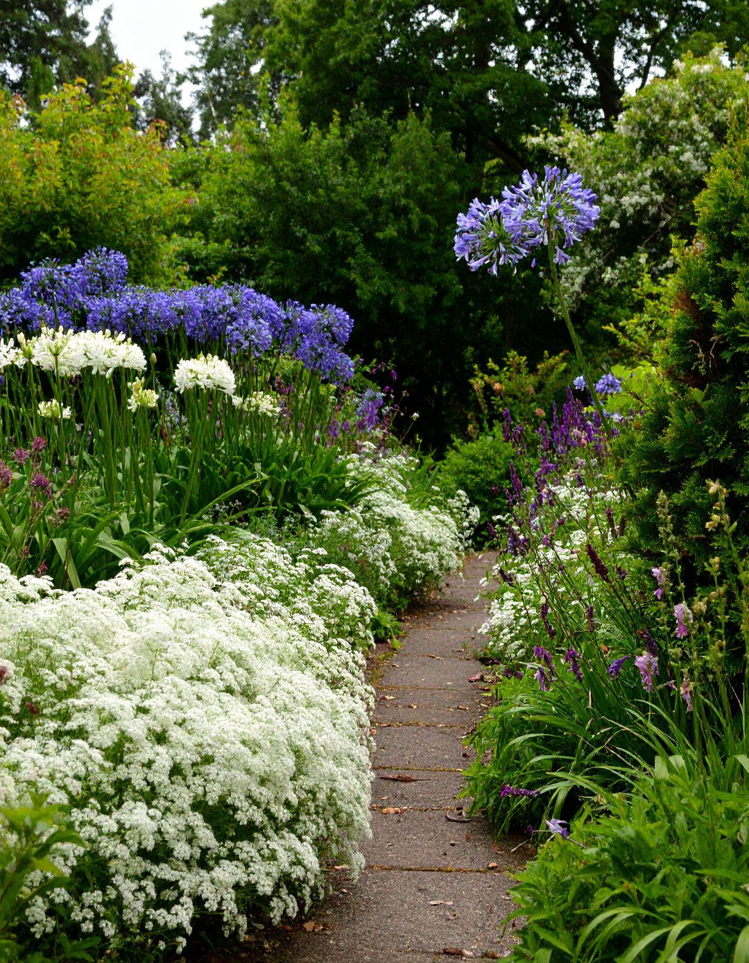 Monochrome Color Themed Flower Bed - 20 Flower Bed Ideas