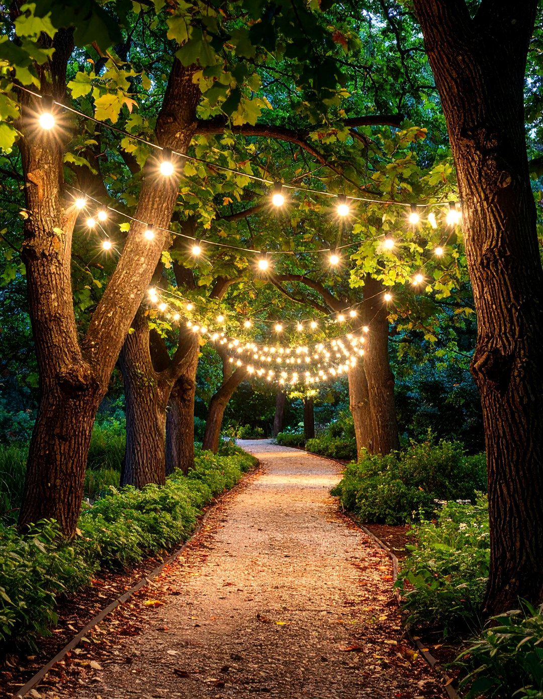 Moonlighting Garden Lighting from the Trees - 20 Garden Lighting Ideas