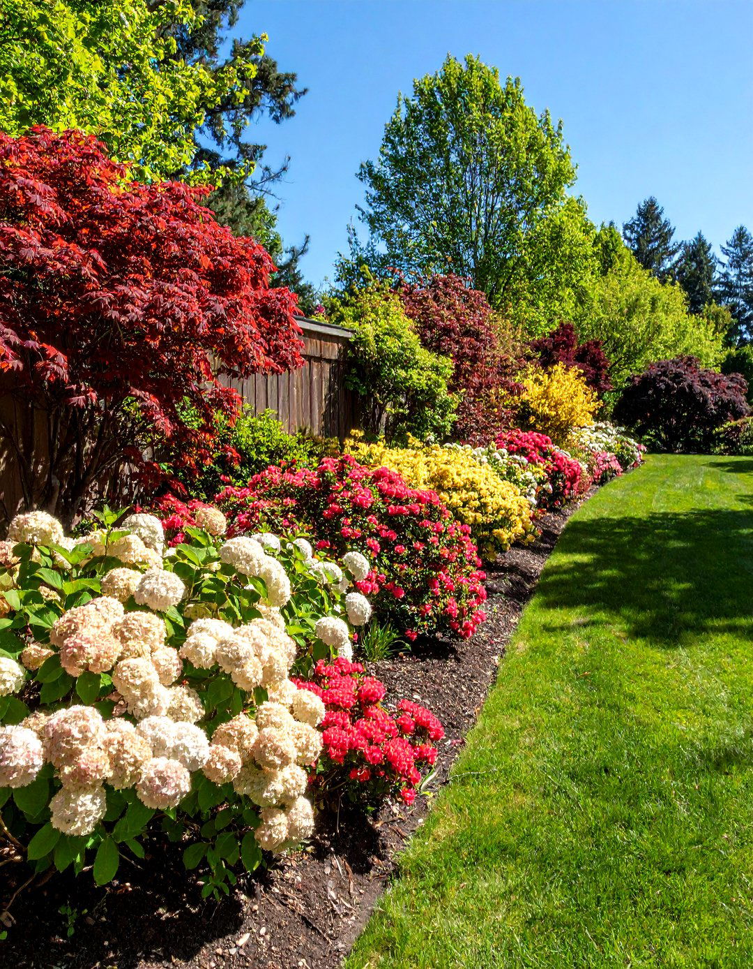 Native Shrub Borders - 20 Sloping Garden Design Ideas
