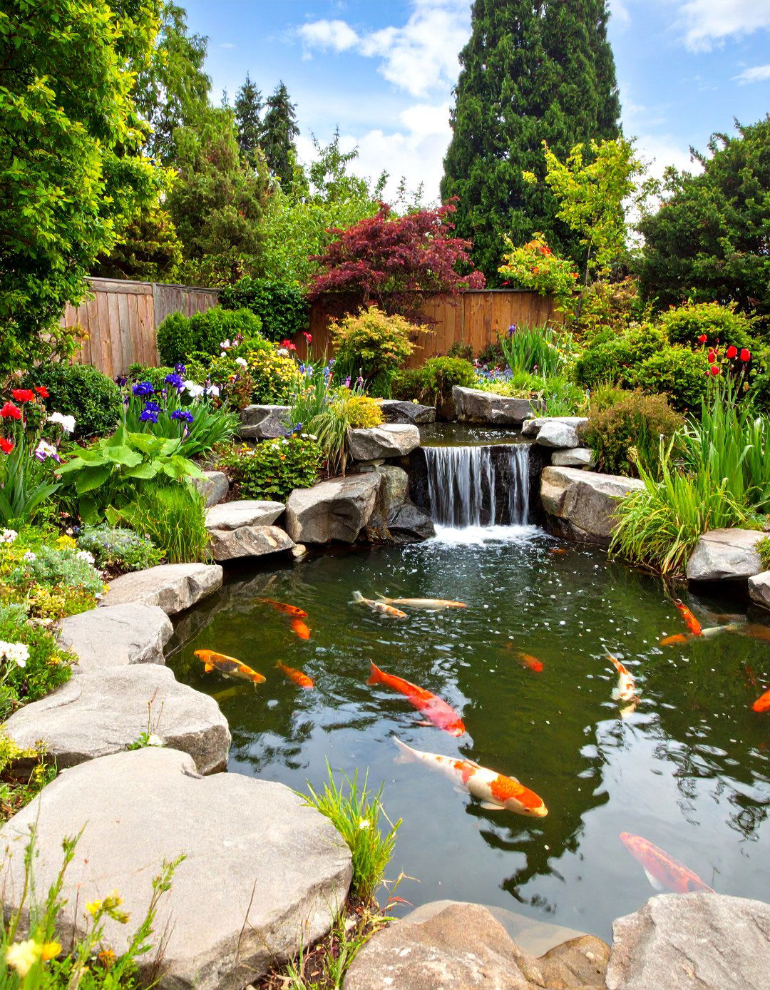 Natural Ecosystem Koi Pond with Native Plants - 20 Koi Pond Ideas