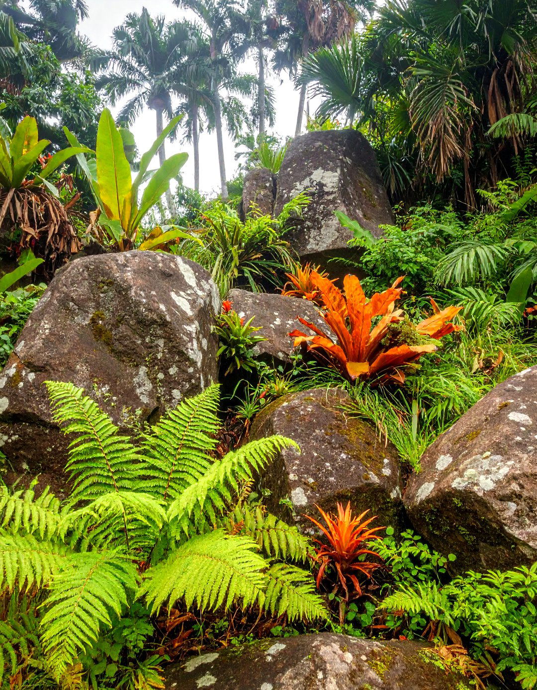 Natural Rock Outcroppings - 20 Tropical Landscape Ideas