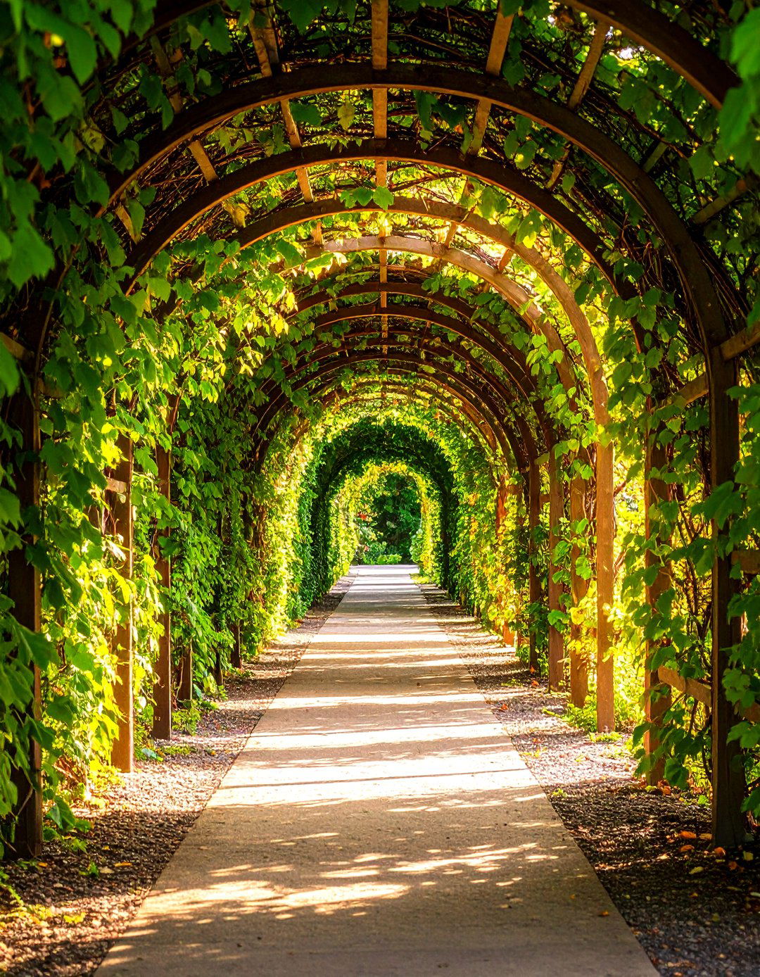 Plant Tunnels and Arbor Walkways - 20 Secret Garden Ideas