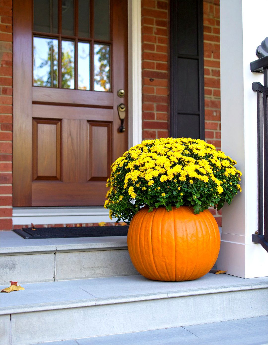 Pumpkin Planters and Potted Fall Greenery - 20 Thanksgiving Decoration Ideas