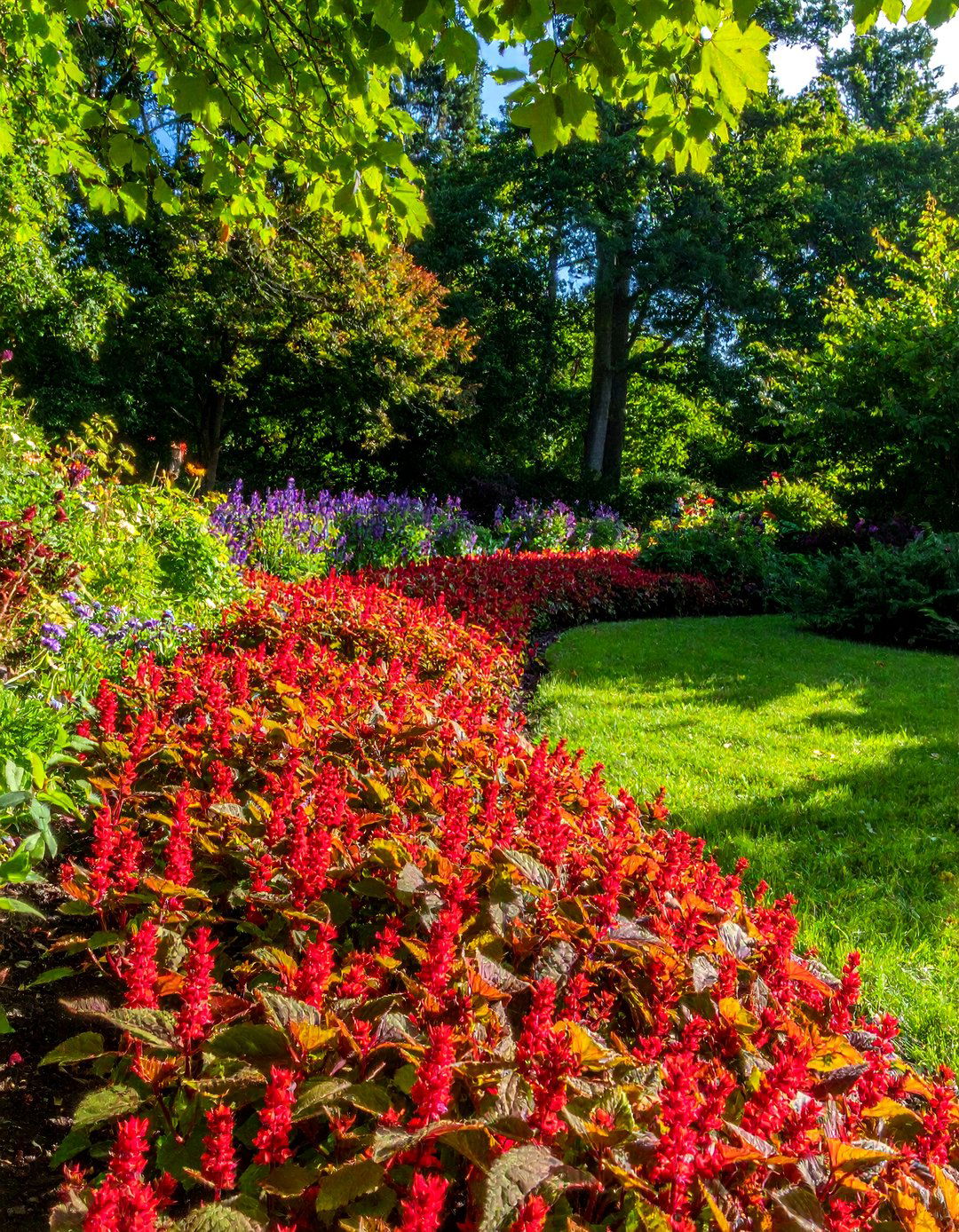 Shade Loving Groundcovers - 20 Shady Garden Ideas