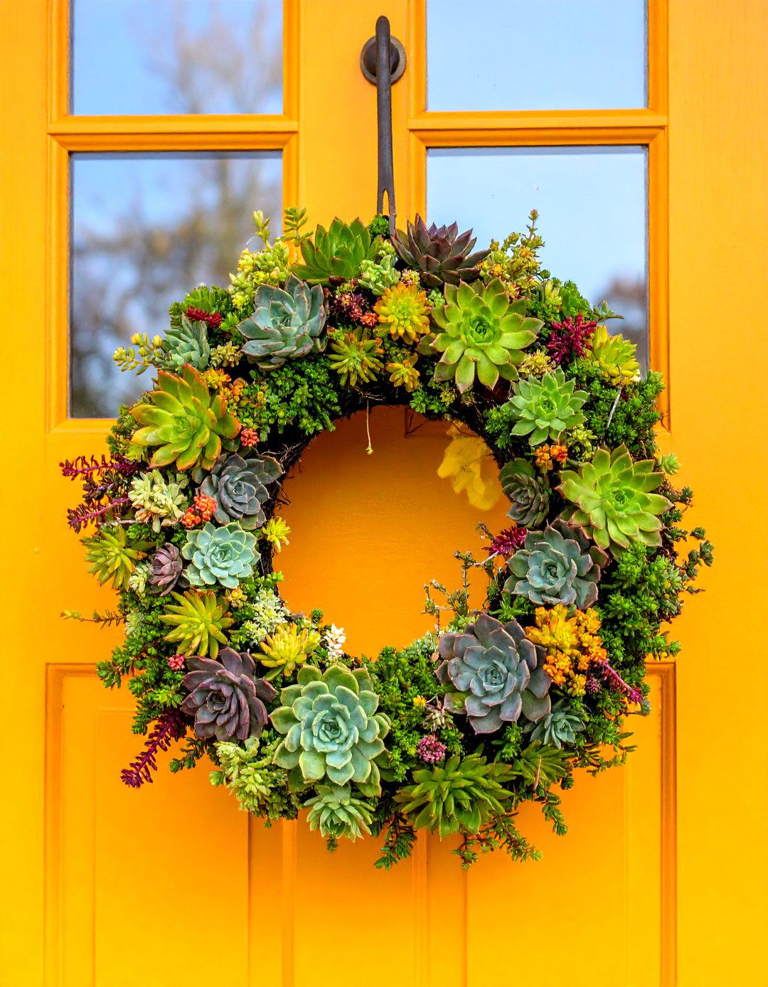 Succulent Wreaths - 20 Succulent Garden Ideas