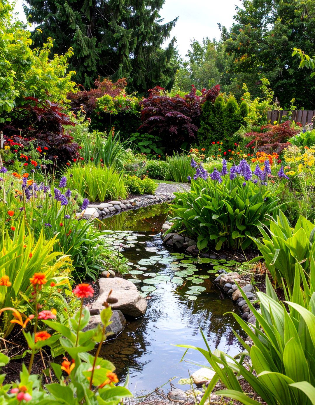 Swale Linked Duck Pond that Fertigates Gardens - 20 Duck Pond Ideas
