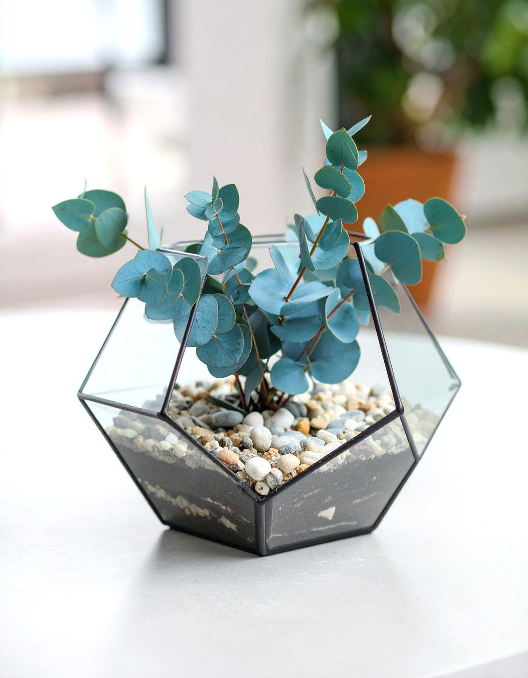 Terrarium Style Eucalyptus Centerpieces - 20 Eucalyptus Wedding Centerpieces