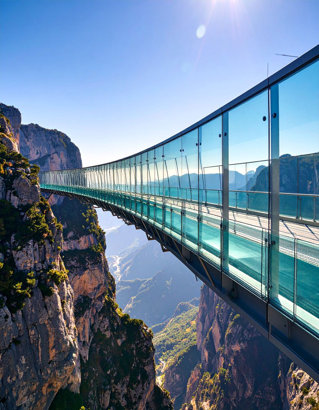 Timber Canopy Walkway in the Trees - 20 Elevated Walkway Ideas