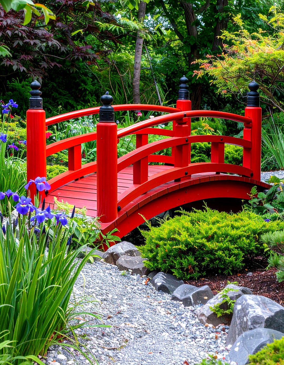 Vibrant Japanese Style Red Garden Bridge - 20 Garden Bridge Ideas