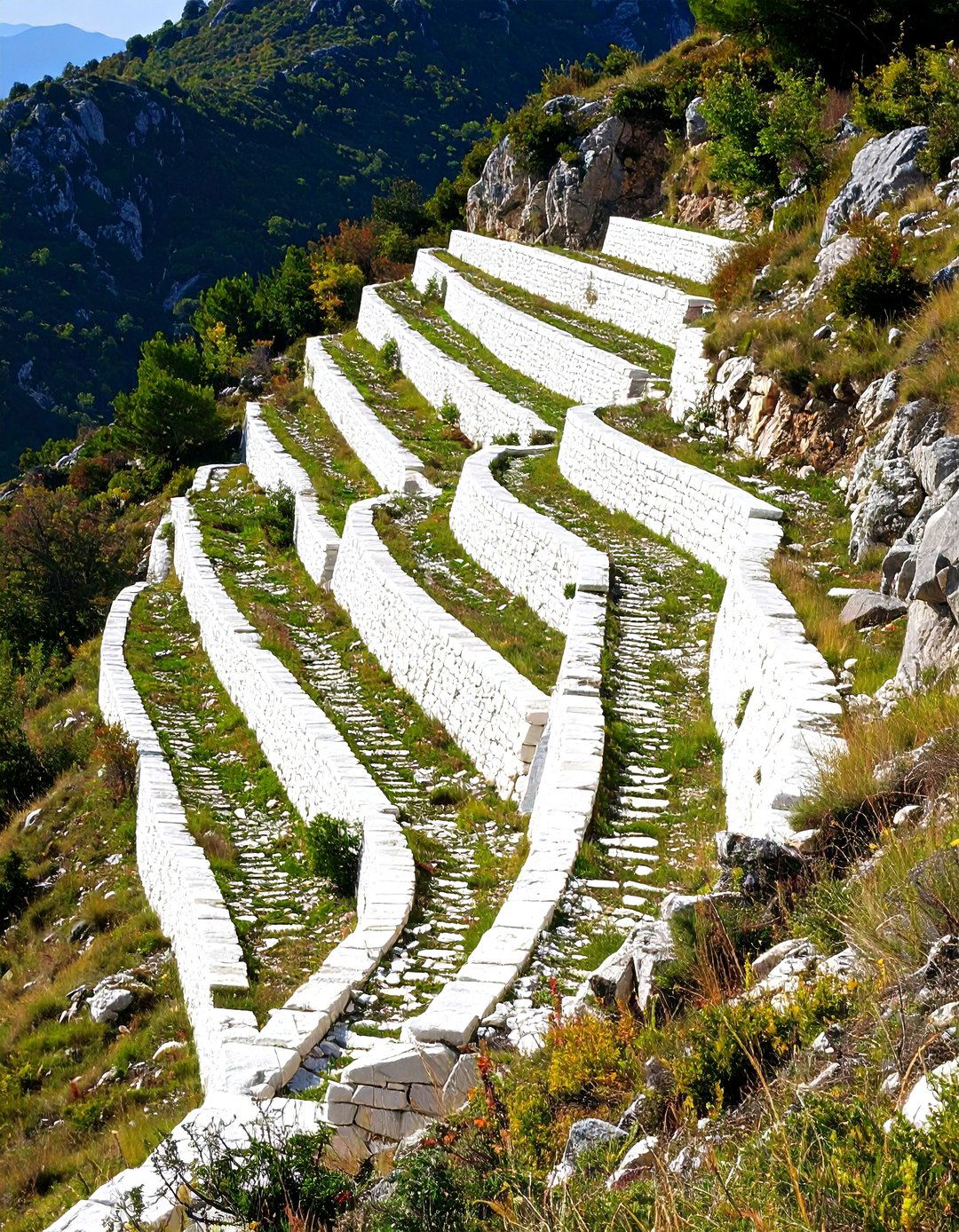 White Rock Landscaping Slope Stabilization - 20 White Rock Landscaping Ideas