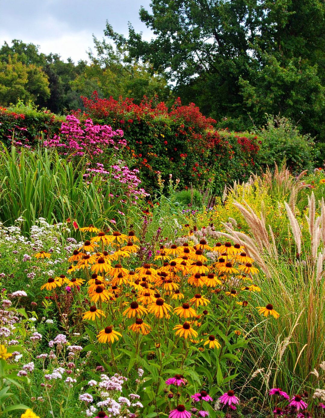 Wildlife Shelter Flower Garden Strip - 20 Flower Garden Ideas