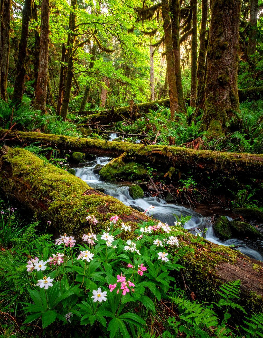 Woodland Forest Pondless Waterfall - 20 Pondless Waterfall Ideas