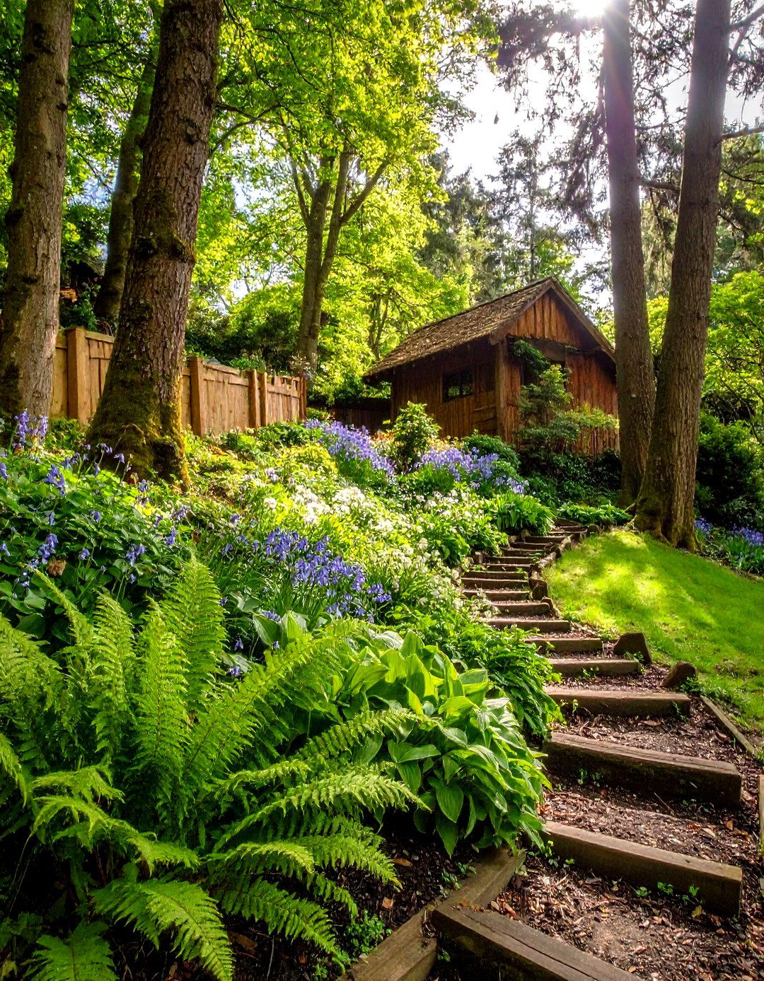 Woodland Slope Tiers - 20 Tiered Garden Ideas