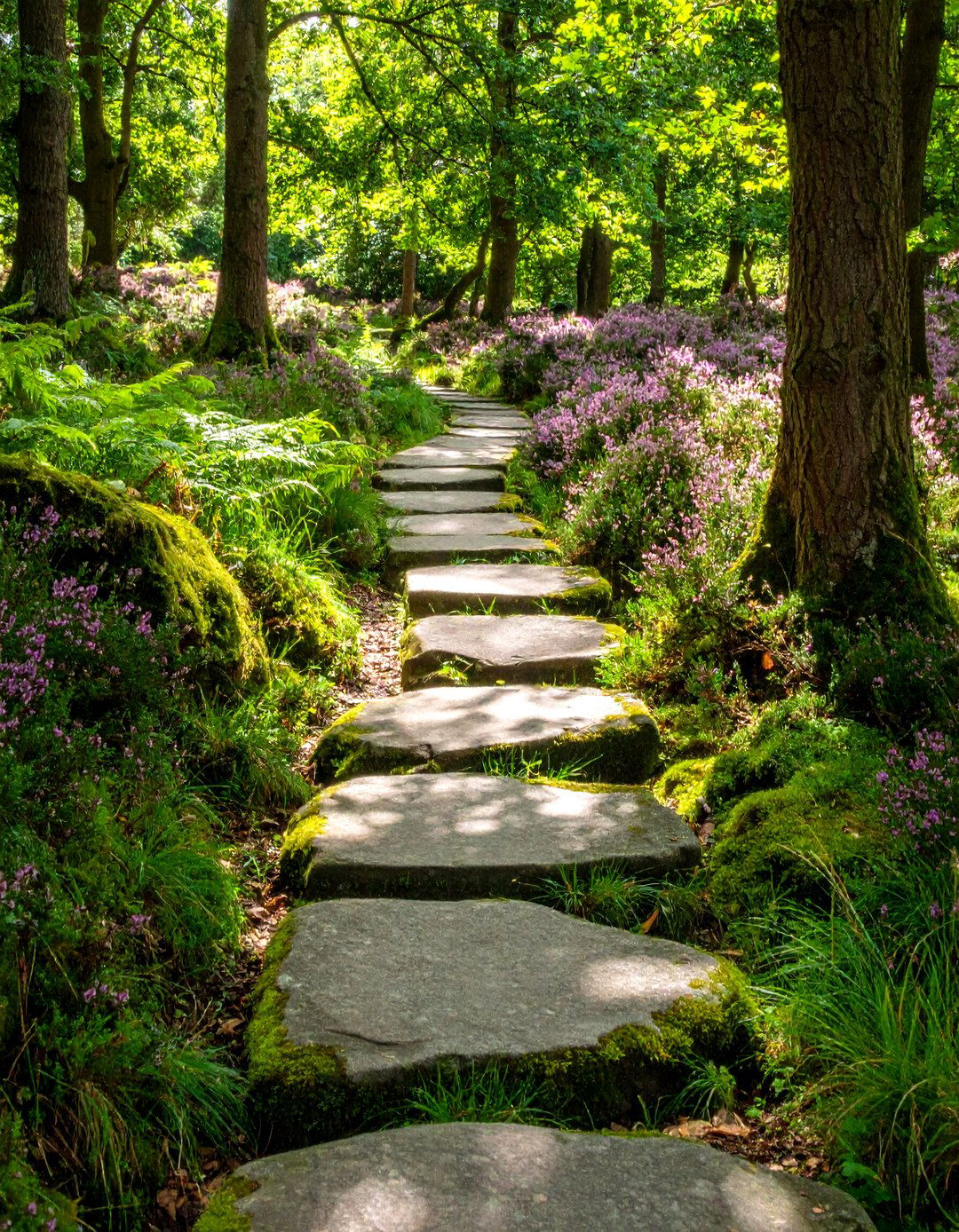 Woodland Stepping Stone Granite Walkway - 20 Granite Walkway Ideas