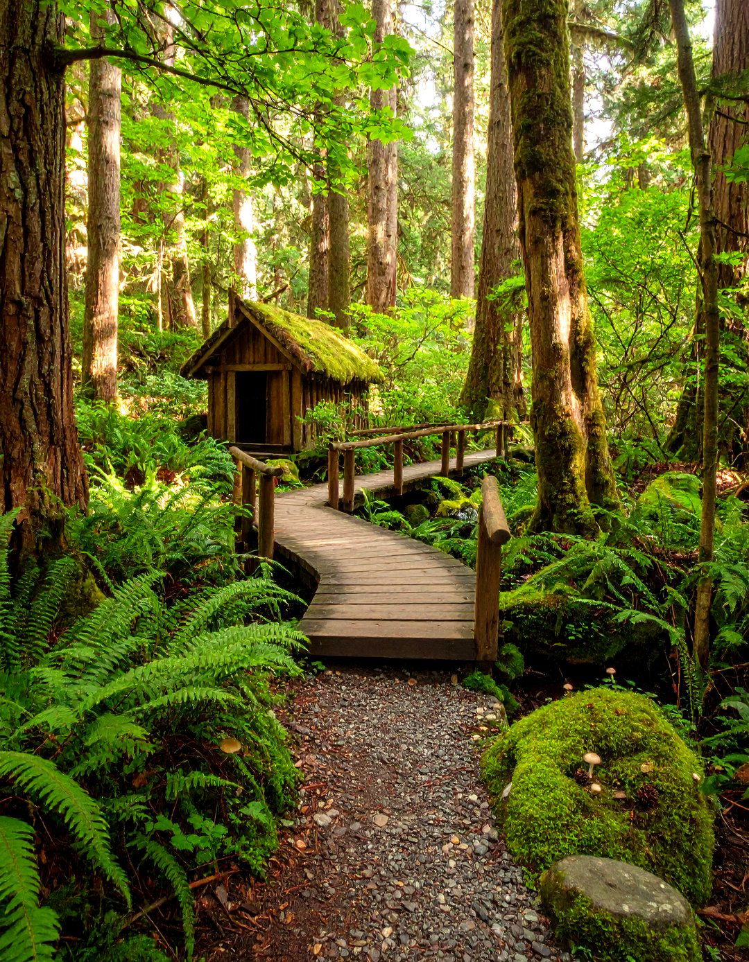 Woodland Theme Fairy Garden Haven - 20 Fairy Garden Ideas